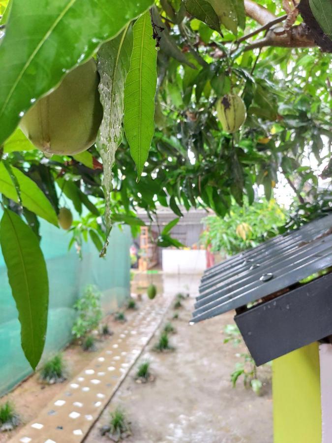 Stargaze Backpackers Hostel Guwahati Buitenkant foto