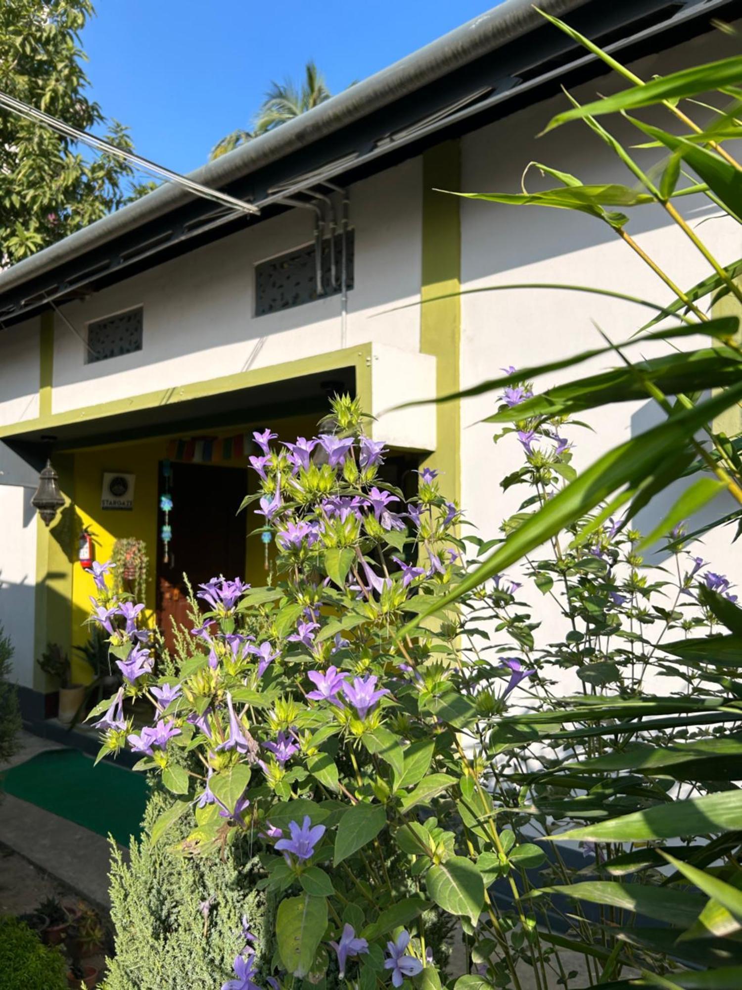 Stargaze Backpackers Hostel Guwahati Buitenkant foto